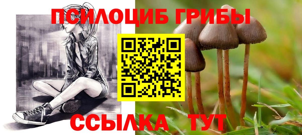 Ульяновск  Галлюциногенные грибы GOLDEN TEACHER  Галлюциногенные грибы GOLDEN TEACHER  Вход с VPN 
